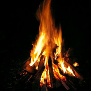 Telegram profile photo for Выживальщик | Отшельник | Survivalist