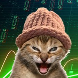 Telegram profile photo for catwifhat