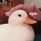 Telegram profile photo for Мемы сутками