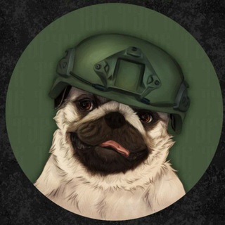 Telegram profile photo for Turchik