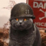 Telegram profile photo for T.C.G