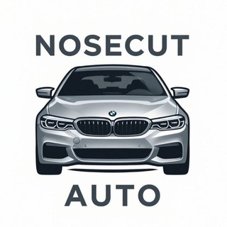 Telegram profile photo for NoseCutAuto