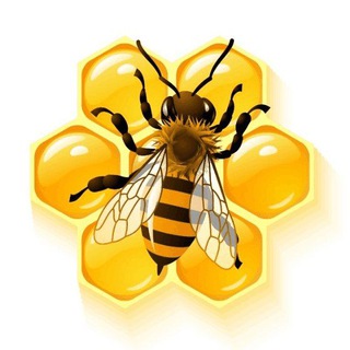 Telegram profile photo for Мëд контент | рецепты