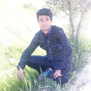 Telegram profile photo for کانال استاد بارو نجاتی