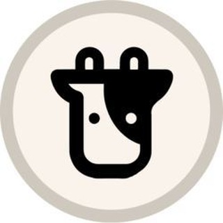 Telegram profile photo for BinanceRocket BIFI