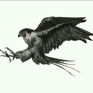 Telegram profile photo for official