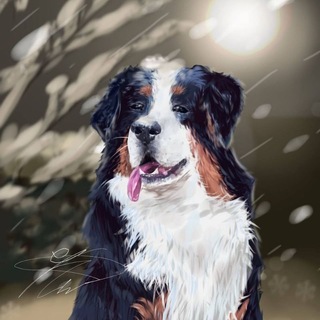 Telegram group profile photo for Вз чат от берна