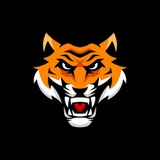 Telegram profile photo for Binomo Bitcoin Signals Tips