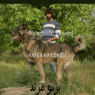 Telegram profile photo for 👑کانال عشق بازان یک رنگ👑