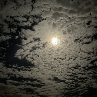 Telegram profile photo for قَــبَس