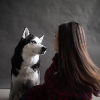 Telegram profile photo for Живу. Мечтаю. Лаю✨