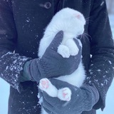Telegram profile photo for < Сумеречные цитаты >