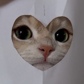Telegram profile photo for πΌ π π π π π π π β~π