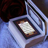 Telegram profile photo for آموزش قرآنکریم به خواهران