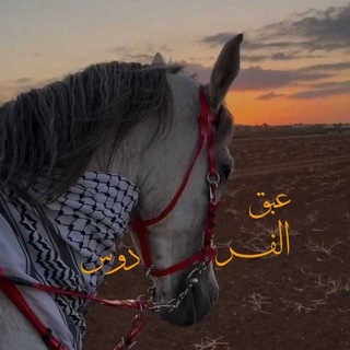 Telegram profile photo for عبق الفردوس 💚