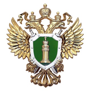 Telegram profile photo for Прокуратура Мордовии