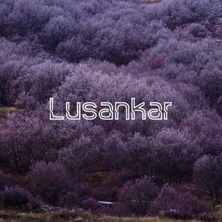 Telegram profile photo for Lusankar