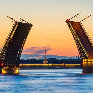 Telegram profile photo for SHARK IN CITY | ПЕТЕРБУРГ