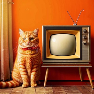 Telegram profile photo for Кошак Television 📺