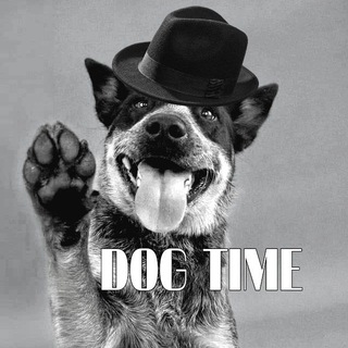 Telegram profile photo for DOG TIME
