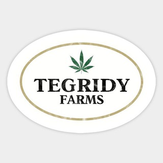 Telegram profile photo for Tegridy news