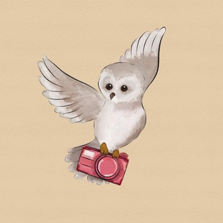 Telegram profile photo for Minerva