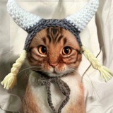 Telegram profile photo for $FC Flokicat Announcement