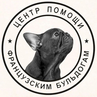 Telegram profile photo for frenchbull_help