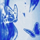 Telegram profile photo for mehrmedad
