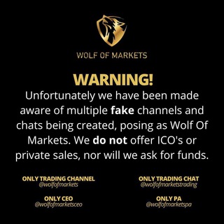 Telegram group profile photo for WOLF OF MARKETS - CHAT