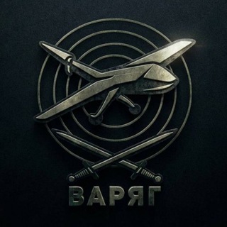 Telegram profile photo for Отряд противодействия БПЛА «Варяг»