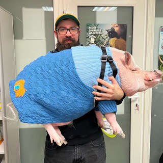 Telegram profile photo for Твой дед