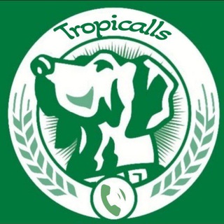 Telegram profile photo for 🚀💸Tropicalls💸🚀