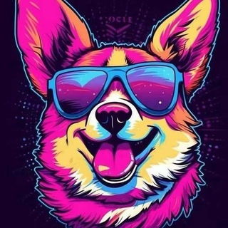 Telegram profile photo for 💎钻石深圳质量中圈频道