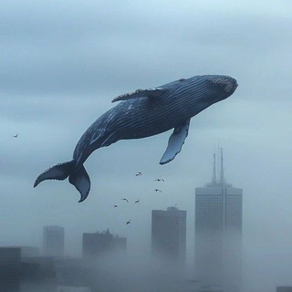 Telegram profile photo for نهنگ فضایی