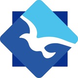 Telegram profile photo for 海鸥-资源分享社区