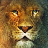Telegram profile photo for Single Lions