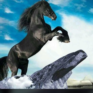 Telegram profile photo for success wave