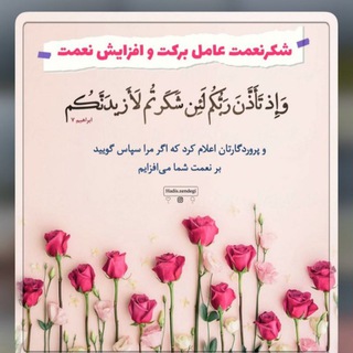 Telegram profile photo for موجودی آیسان و طوبی😍