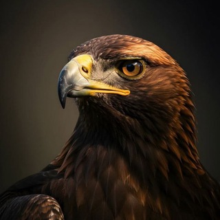 Telegram profile photo for Lilly aus dem Erzgebirge ⚒️