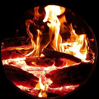 Telegram profile photo for Записки водителя автобуса