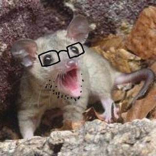 Telegram profile photo for Possum