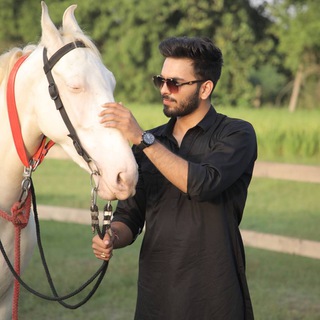 Telegram profile photo for Systumm Hang WITH LAKSHAY 🔥