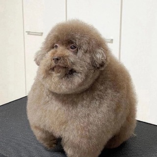 Telegram profile photo for Е*учий. (Kazeno/Crypto)