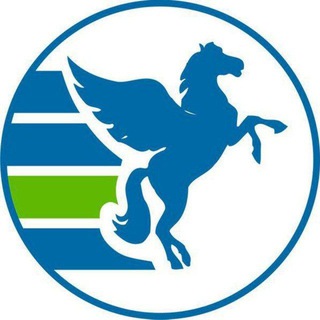 Telegram group profile photo for Пегас Чита 💙Журавлева, 54•КСК, 3 мкр., 21