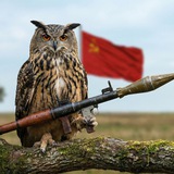 Telegram profile photo for МУДРА САВА КПСС🇺🇦