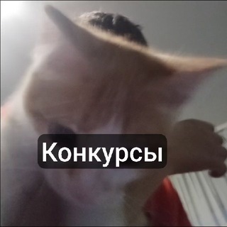 Telegram profile photo for 😶🌫️Конкурсы😶🌫️