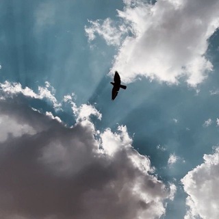 Telegram profile photo for غَـــيــــ☁️ـمـة