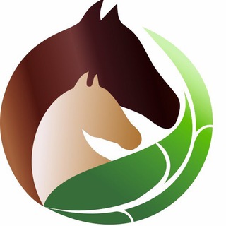 Telegram profile photo for Мясо конины🥩 | Холм