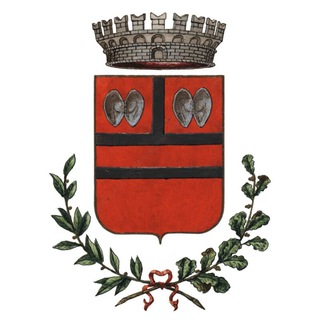 Telegram profile photo for Calcinaia News
